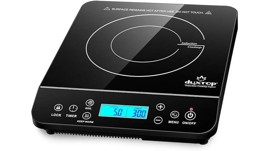 portable induction cooktop burner