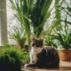 safe plants for cat friendly homes