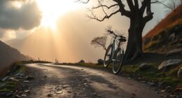 embrace setbacks for growth