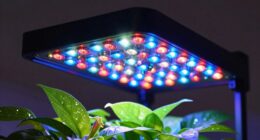 light measurement and spectrum
