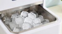 prevent mold in nugget ice