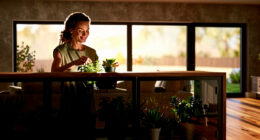 10 Best Indoor Greenhouse Cabinets in 2026