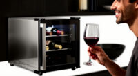 13 Best Best Wine Cooler Refrigerator in 2026