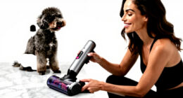 13 Best Pet Grooming Vacuum Kit in 2026