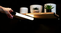 5 Best Plant Shelf With Grow Lights in 2026