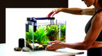 6 Best Aquarium Kit 55 Gallon in 2026