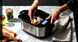 6 Best Best Sous Vide Cooker in 2026