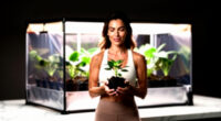 6 Best Grow Tent 4x4 Kit in 2026