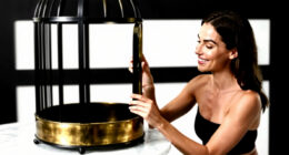 8 Best Bird Cage Large in 2026