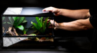 9 Best Reptile Terrarium 40 Gallon Kit in 2026