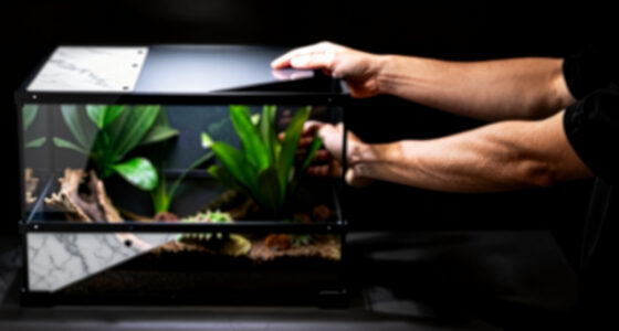 9 Best Reptile Terrarium 40 Gallon Kit in 2026
