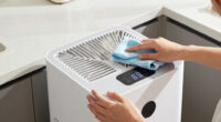 11 Best Air Purifier for Pet Dander and Dust in 2026