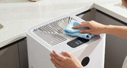 11 Best Air Purifier for Pet Dander and Dust in 2026