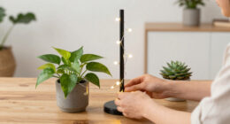 12 Best Indoor Plant Stand With Lights in 2026