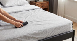 14 Best Adjustable Bed Base Split King in 2026