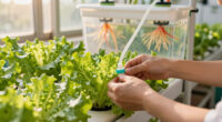 15 Best Hydroponic Lettuce Grow System in 2026 — The Complete Buyer’s Guide