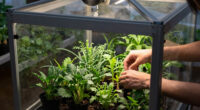 8 Best Indoor Greenhouse Cabinets With Fan in 2026