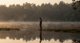 evolving boundaries signify growth