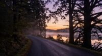 mystical dusk woodland tales