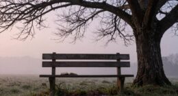 simple life improvement strategy