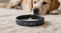 simplify pet anxiety management