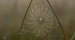 small systems ensure stability