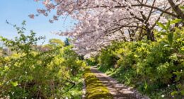 spring nervous system reset