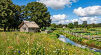 sustainable peaceful living practices