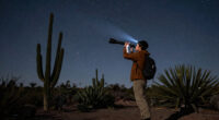 Arizona’s Organ Pipe Cactus National Monument Earns Dark Sky Status