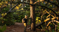 Tabb’s Trails: Resilience, beauty, variety in Nags Head Woods