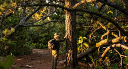 Tabb’s Trails: Resilience, beauty, variety in Nags Head Woods