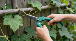 12 Best Climbing Vines in 2026